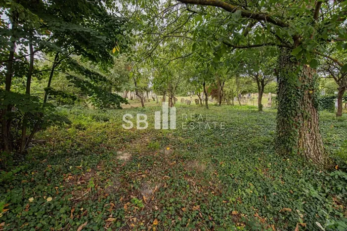 Prodej rodinného domu, Loštice, Vejmoly, 150 m2