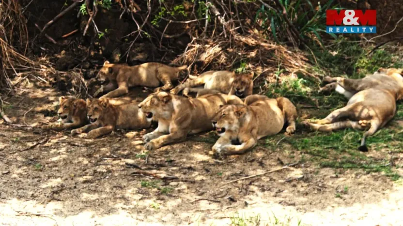 Prodej rodinného domu, Ostrov, Klínovecká, 115 m2