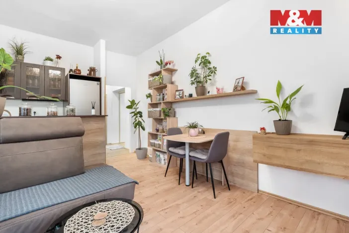 Prodej bytu 2+1, Mladá Boleslav - Mladá Boleslav IV, Ptácká, 49 m2