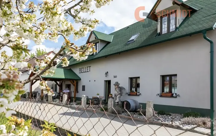 Prodej ubytování, Březí, 334 m2