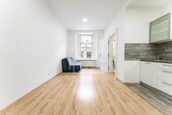 Prodej bytu 1+1, Praha - Nusle, Oldřichova, 48 m2