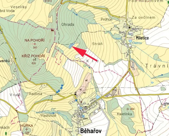 Prodej podílu lesa, Dlažov, 1468 m2