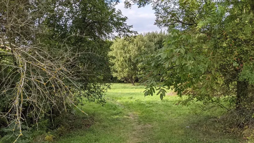 Prodej pozemku pro bydlení, Kladno, Jar. Seiferta, 4912 m2