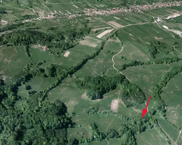 Prodej podílu louky, Nedašov, 962 m2