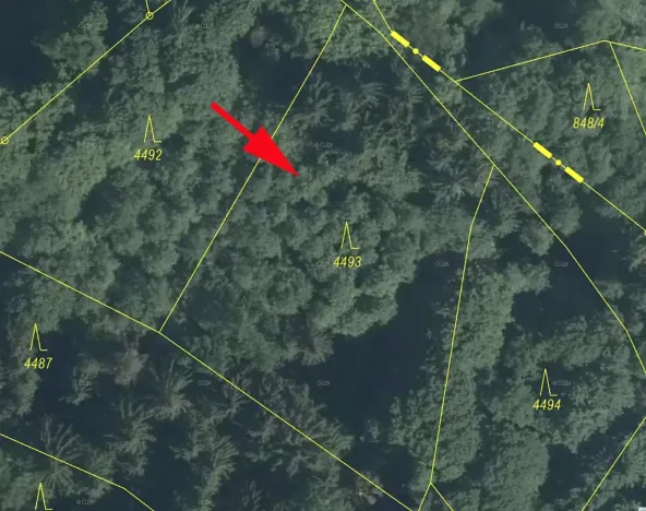 Prodej lesa, Železný Brod, 2062 m2