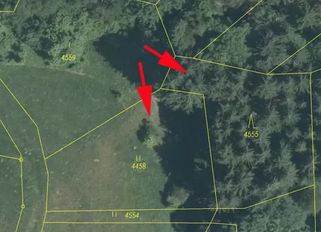 Prodej lesa, Železný Brod, 2693 m2