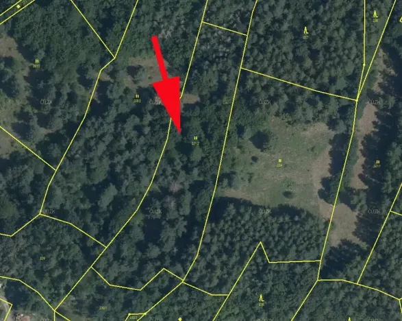 Prodej louky, Šumperk, 7200 m2