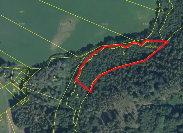 Prodej lesa, Borotice, 4280 m2