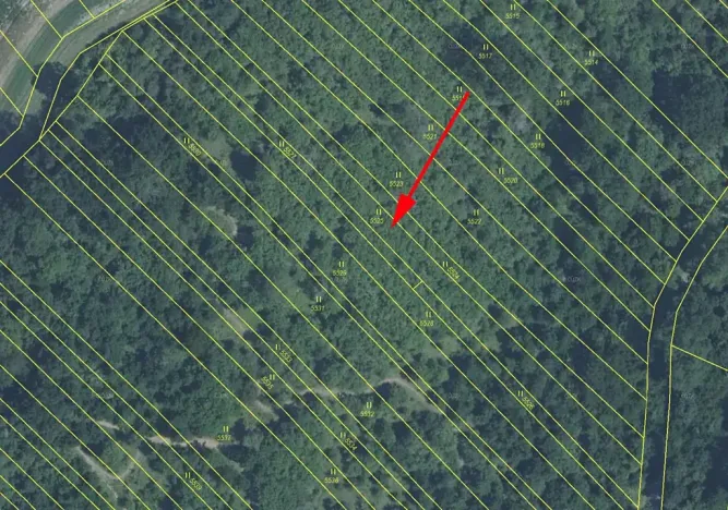 Prodej louky, Březolupy, 1586 m2