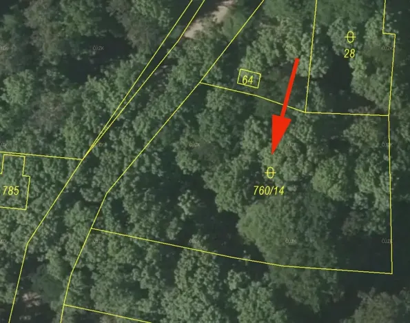 Prodej lesa, Všeruby, 1325 m2