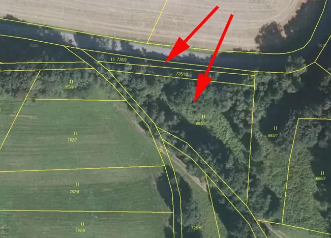 Prodej podílu lesa, Vranová Lhota, 808 m2