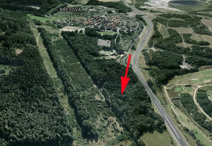 Prodej lesa, Sokolov, 13827 m2