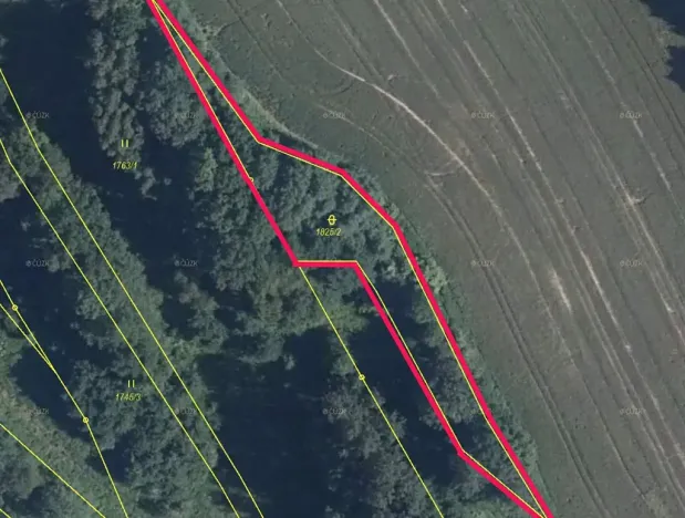 Prodej lesa, Dubnice, 1219 m2