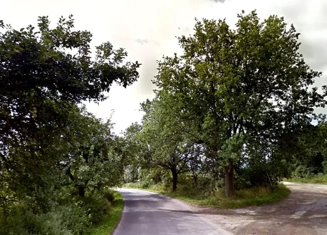 Prodej lesa, Dubnice, 1405 m2