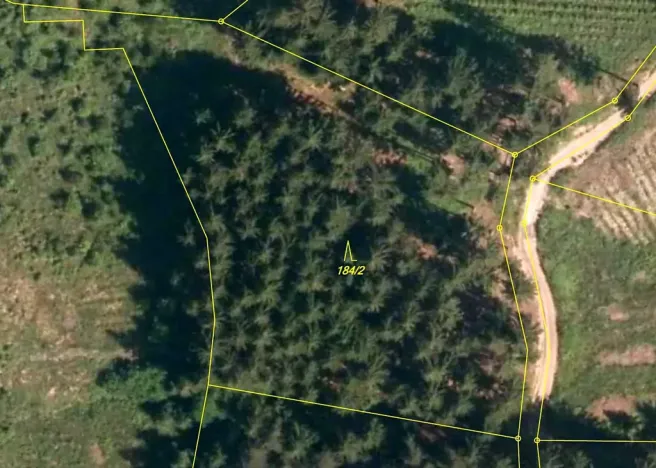 Prodej lesa, Lhota u Vsetína, 4855 m2