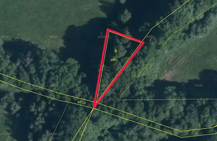 Prodej lesa, Stružnice, 590 m2