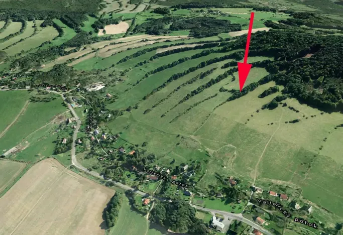 Prodej lesa, Žandov, 9354 m2