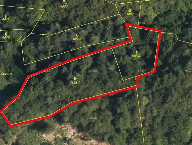 Prodej lesa, Halenkov, 3244 m2