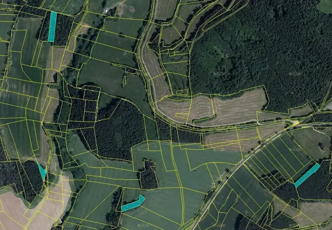 Prodej lesa, Úlehle, 3744 m2