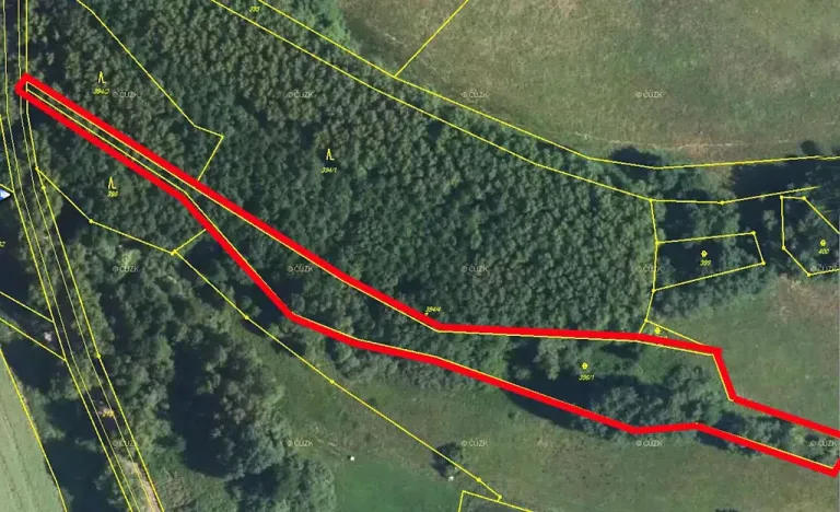 Prodej lesa, Žandov, 5142 m2