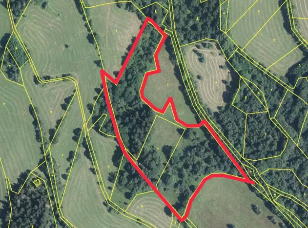 Prodej lesa, Trutnov, 28206 m2