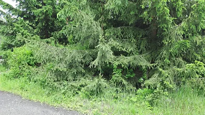 Prodej pozemku, Nejdek, 104 m2