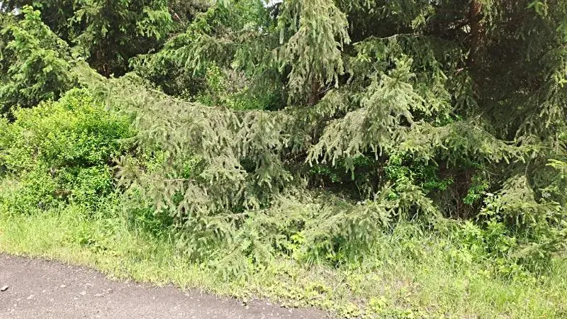 Prodej pozemku, Nejdek, 104 m2