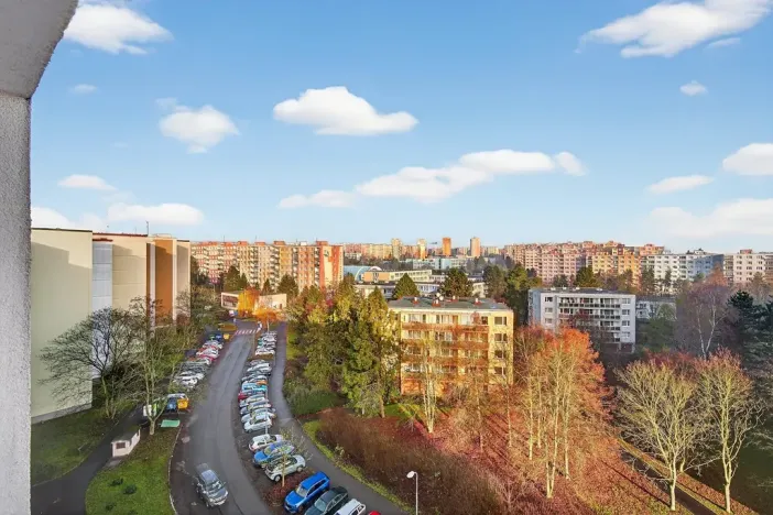 Prodej bytu 2+1, Plzeň, Elišky Krásnohorské, 60 m2