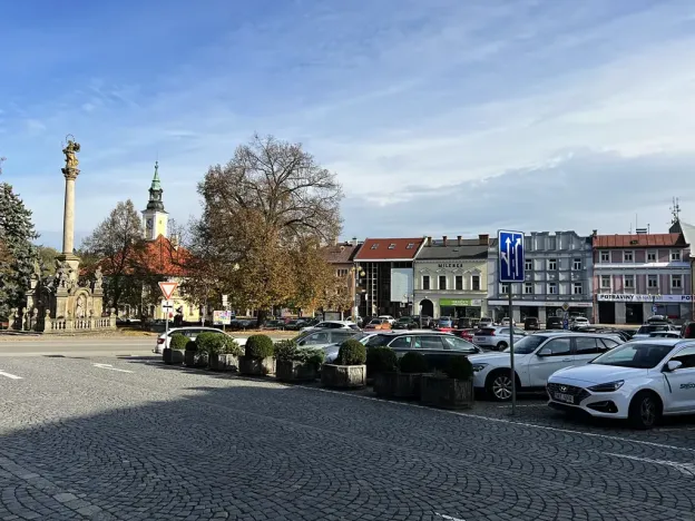 Prodej obchodního prostoru, Žamberk, Kostelní, 86 m2