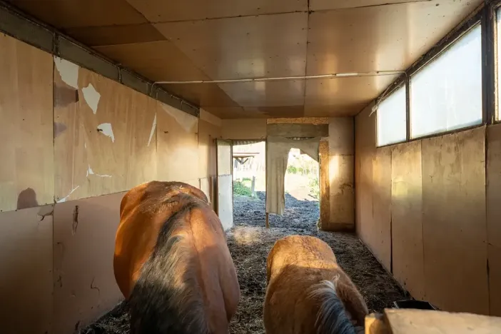 Pronájem - jiné, Markvartovice, 111 m2