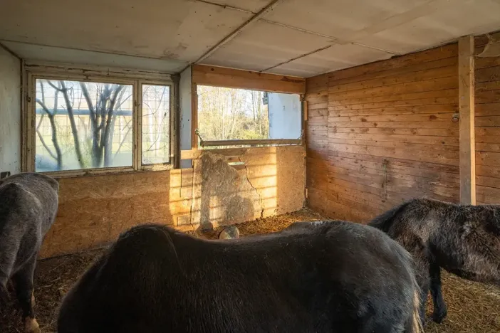 Pronájem - jiné, Markvartovice, 111 m2