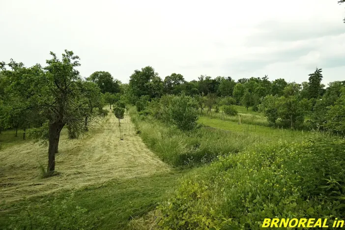 Prodej zahrady, Rousínov, 940 m2