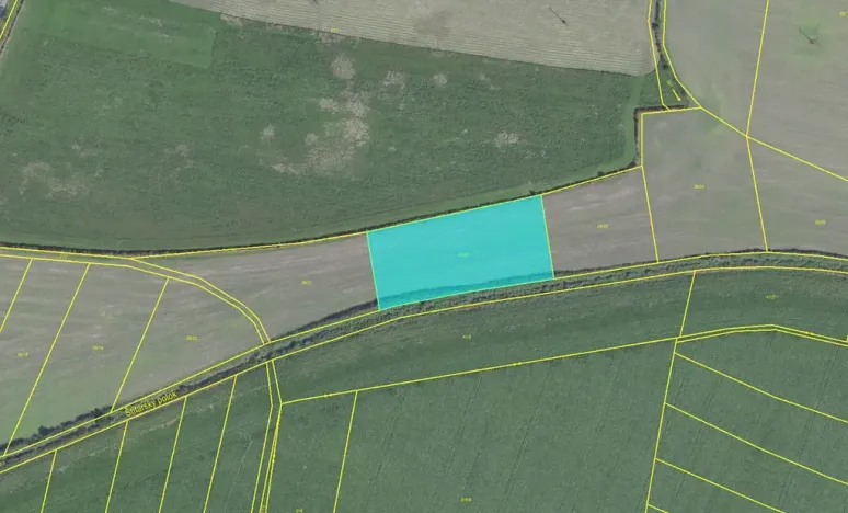 Prodej podílu pole, Běrunice, 20083 m2