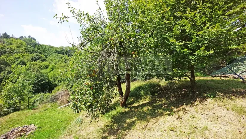 Prodej zahrady, Kralupy nad Vltavou, Lobeč, 346 m2