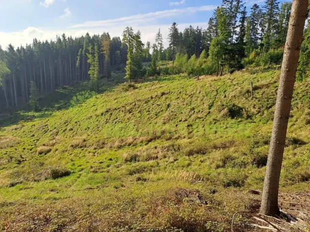 Prodej lesa, Zlín, 152613 m2