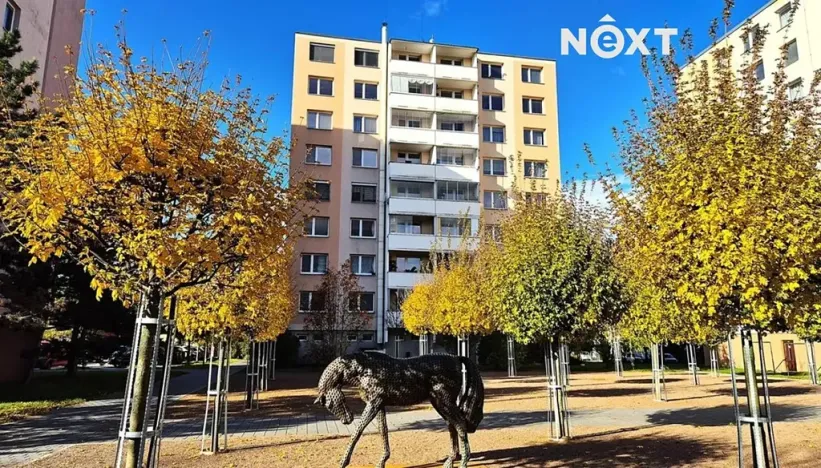 Pronájem bytu 1+kk, Kuřim, Na Loučkách, 29 m2