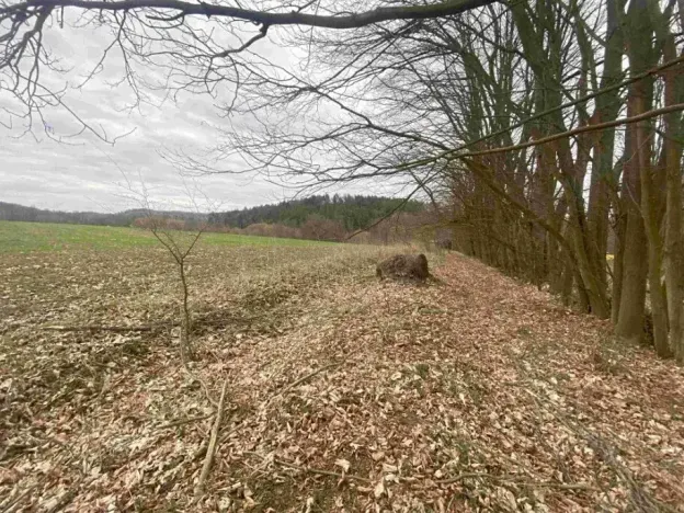 Dražba louky, Žinkovy, 4100 m2