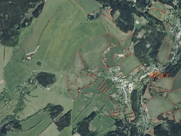 Dražba louky, Říčky v Orlických horách, 1426 m2