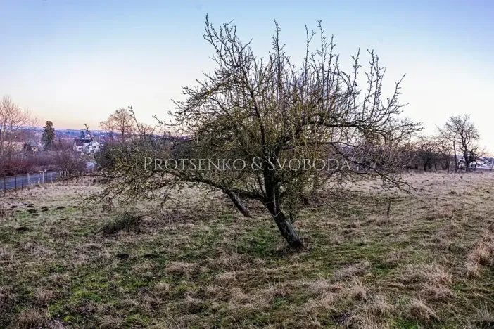 Prodej zahrady, Chotěboř, Hromádky z Jistebnice, 5327 m2
