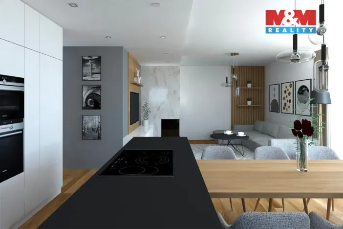 Prodej rodinného domu, Loket, Nad Hájovnou, 203 m2