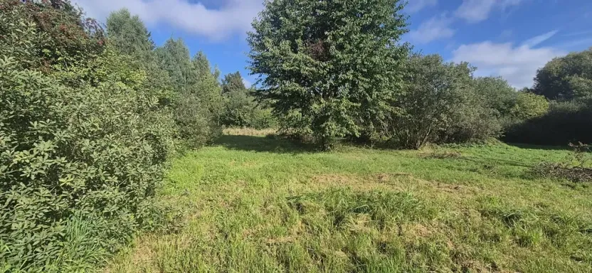 Prodej pozemku pro bydlení, Jestřebí, 1898 m2