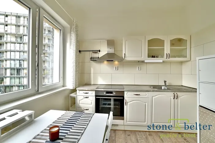 Pronájem bytu 1+1, Praha - Žižkov, Malešická, 43 m2