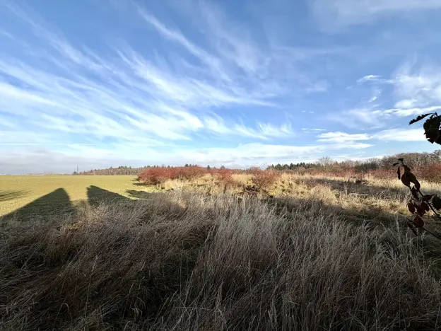 Pronájem rodinného domu, Jesenice - Zdiměřice, Skřivanová, 345 m2