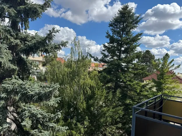 Prodej bytu 3+1, Brno, Bohuslava Martinů, 79 m2