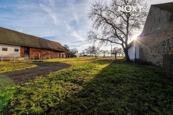 Prodej zahrady, Nové Mitrovice, 1882 m2