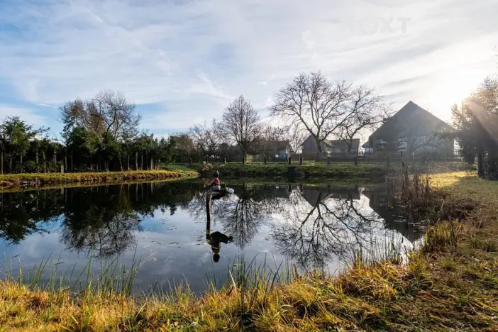 Prodej zahrady, Nové Mitrovice, 1882 m2