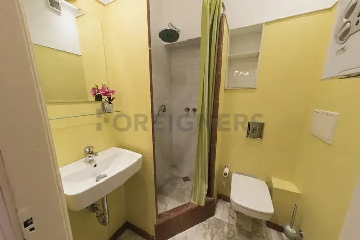 Pronájem bytu 3+1, Praha - Vinohrady, Korunní, 95 m2