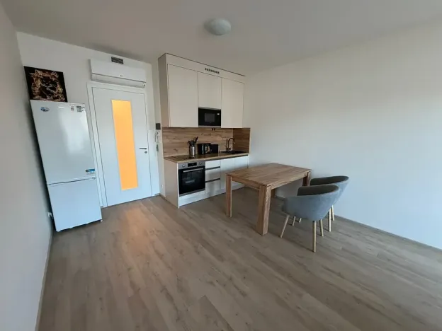 Pronájem bytu 1+kk, Praha - Žižkov, Tetauerova, 33 m2