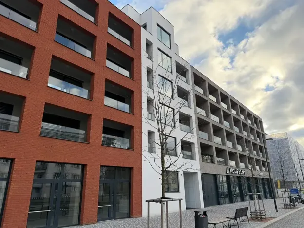 Pronájem bytu 1+kk, Praha - Žižkov, Tetauerova, 33 m2