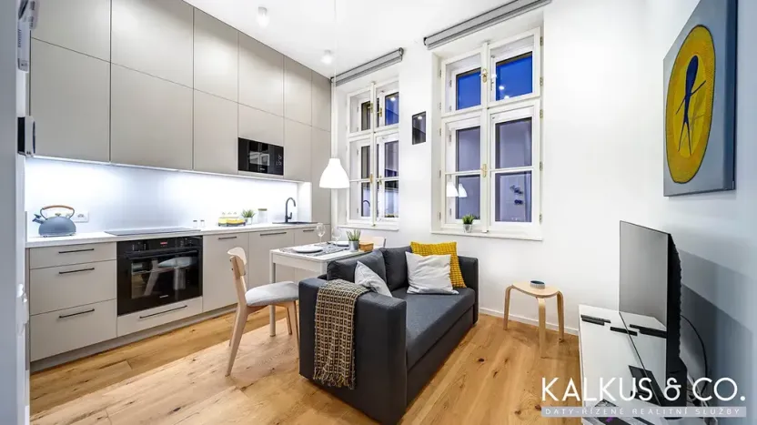 Pronájem bytu 2+kk, Hradec Králové, Eliščino nábřeží, 30 m2